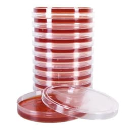 Hardy Diagnostics™ BCSA, USP, Selective Culture Media for Burkholderia Cepacia