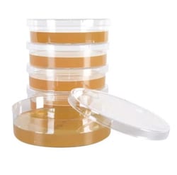 Hardy Diagnostics™ BHI Agar Plate