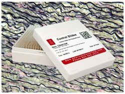 StatLab&nbsp;Aorta Control Slides