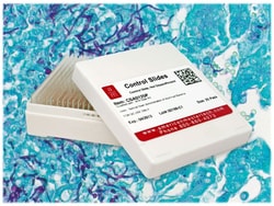 StatLab&nbsp;Candida Albicans Control Slides