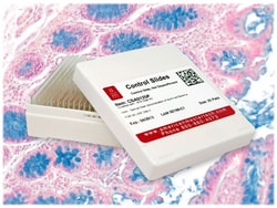 StatLab&nbsp;Colon IHC Control Slides