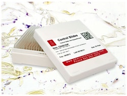 StatLab&nbsp;Gram Positive/Gram Negative Control Slides