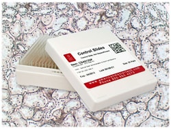 StatLab&nbsp;Kidney IHC High Quality Control Slides