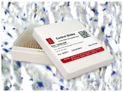 StatLab&nbsp;Lipofuscin Pigment Control Slides