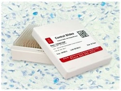 StatLab&nbsp;Mast Cell IHC Control Slides