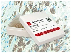 StatLab Melanoma S-100 Control Slides Non-sterile | Buy Online | StatLab | Fisher Scientific