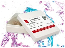 StatLab Nocardia Control Slides Non-sterile | Buy Online | StatLab | Fisher Scientific