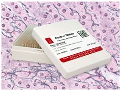 StatLab&nbsp;Reticulum Fibers Control Slides