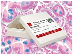 StatLab&nbsp;Small Intestine Control Slides