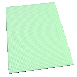 Enterprise Technology Solutions Dental Bibs - Mint Green 17 3/