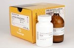 Promega ONE-Glo™ EX Luciferase Assay System