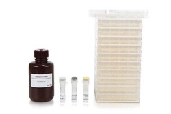 Mabtech X10 Plates ELISpot Plus: Human IFN-gamma (ALP), Quantity: 1 set