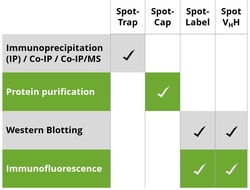 Proteintech ChromoTek Spot-Trap Agarose 400 Reactions | Buy Online | Proteintech | Fisher Scientific