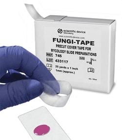 StatLab Fungi-Tape Pre-Cut Cover Tape for Mycology Preparations