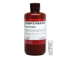 StatLab&nbsp;Trump's Fixative Prefills