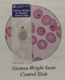 StatLab Giemsa/Wright Control Slides