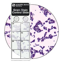 StatLab Gram Control Slides