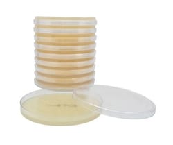 Hardy Diagnostics™ Mueller Hinton Agar (MHA)