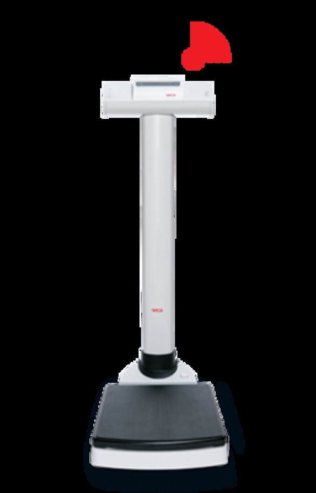 Seca Corp seca 703 EMRvalidated column scale with 660 pounds capacity