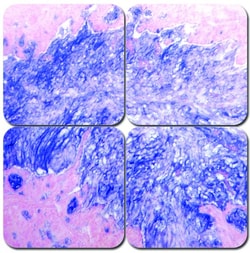 StatLab&nbsp;MasterTech Alcian Blue 1.0 pH Stain Kit
