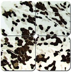 StatLab&nbsp;MasterTech Myofibrillar ATPase Stain Kit