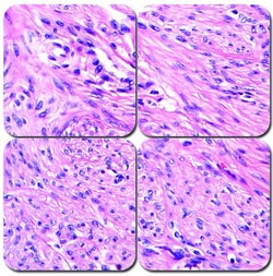 StatLab&nbsp;MasterTech H and E Stain Kit