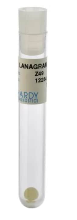 Hardy Diagnostics™ LanaGram™ Rapid Color Test for Bacterial Gram Reaction