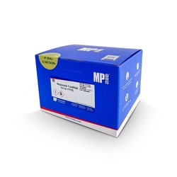 MP Biomedicals MagBeads FastRNA Kit for FFPE