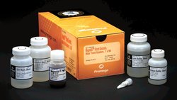 Promega&nbsp;MagneSil&trade; Blood Genomic, Max Yield System