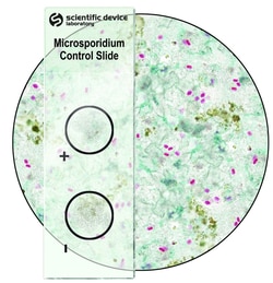 StatLab Microsporidia Control Slides