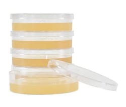 Hardy Diagnostics™ Inhibitory Mold Agar