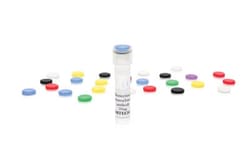 Mabtech X250 µg Anti-human IFN-gamma mAb (7-B6-1), biotin, Quantity: 250