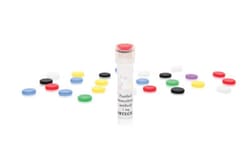 Mabtech X?1 mg Anti-human Thioredoxin-1 mAb (MT17R6), unconjugated, Quantity: