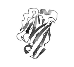 Proteintech&nbsp;ChromoTek MK2 VHH, Recombinant Binding Protein