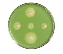 Hardy Diagnostics™ Mueller Hinton Agar