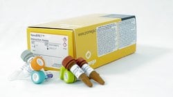 Promega&nbsp;NanoBRET&trade; cMyc/MAX Interaction Assay