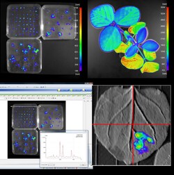 Berthold Technologies Light Attenuation Set For LB 9515 Gray | Buy Online | Berthold Technologies | Fisher Scientific