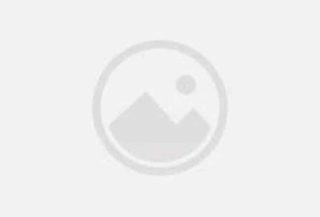 Tryptose Thermo Scientific Oxoid Tryptose Sulfite Agar 10 Plates | Buy Online ...
