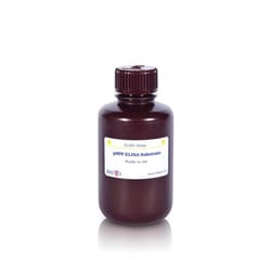 Mabtech X120 ml ELISA substrate: pNPP for ALP, Quantity: 120mL