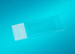 Leica Microsystems PEN Membrane Slide(4 μm), Glass, 50 Slides