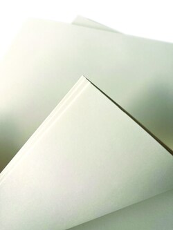 Columbia Cleanroom Premium Cleanroom Paper, Latex - Free 8.5 x 11 in. | Buy Online | Columbia Cleanroom | Fisher Scientific