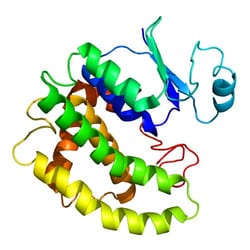 Proteintech&nbsp;ChromoTek GST VHH, Recombinant Binding Protein