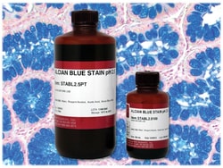 StatLab&nbsp;MasterTech Alcian Blue Stain pH 2.5