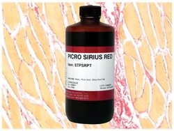 StatLab&nbsp;MasterTech Picro-Sirius Red Stain