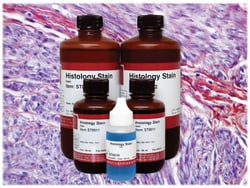 StatLab MasterTech Special Stain Kit, PTAH Stain, Phosphotungstic Acid Hematoxylin Stain 1 Pint | Buy Online | StatLab | Fisher Scientific