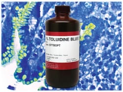 StatLab&nbsp;MasterTech 1% Toluidine Blue O Stain