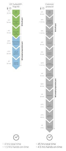 Proteintech ChromoTek iST TurboGFP-Trap Kit