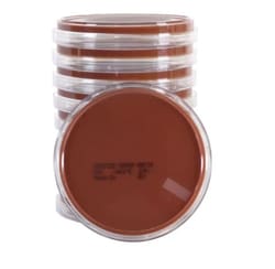 Hardy Diagnostics™ Thayer Martin Modified Agar with VCNT