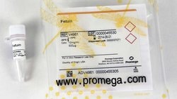 Promega Glycosidases