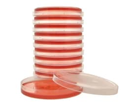 Hardy Diagnostics™ Vogel and Johnson Agar